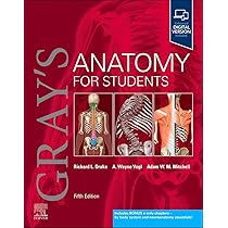 GRAY'S ANATOMY フラッシュカード 第5Gray's Anatomy GRAY'S ANATOMY フラッシュカード 第5Gray's Anatomy Gray's